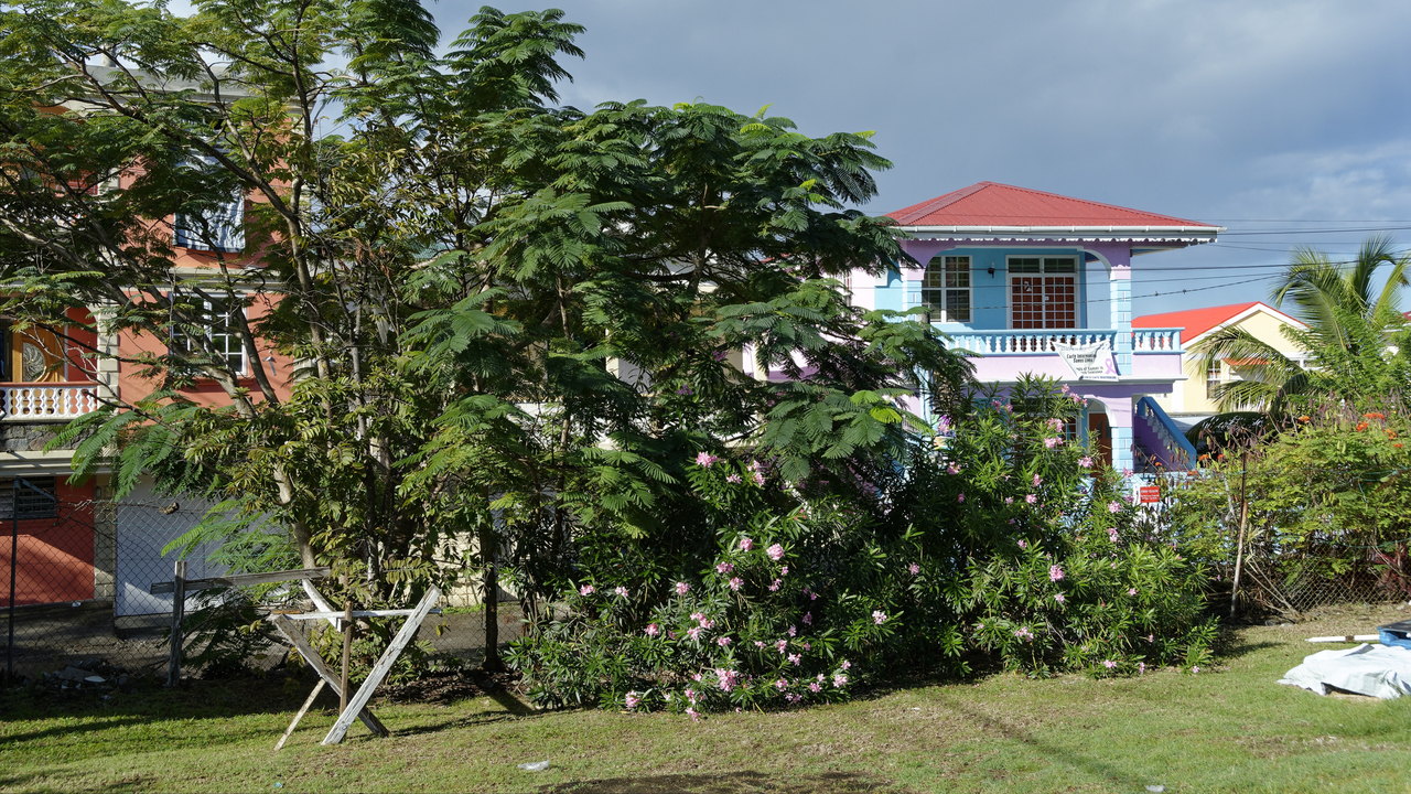 20190203-085206••Roseau•Saint George•Dominica